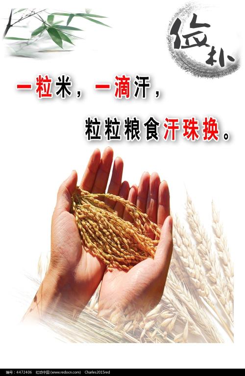 乍得身份证样本资料
